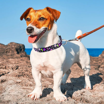 DQGHQME Small Dog Collar with Daisy Charm, Floral Girl Boy Soft Cute Dog Collar Flower Pet Collar for Male Females Puppy