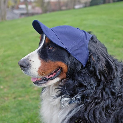 Littlearth NFL Pet Baseball Hat - Officially Licensed Teams, Sizes: XS - XL