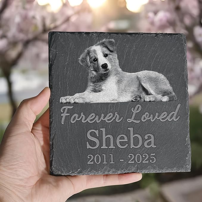 Pet Memorial Stone, Dog Memorial Stone, Dog Memorial Gifts for Loss of Dog, Pet Memorial Gifts, Loss of Pet Sympathy Gift, in Loving Memory Pet - Forever Loved - Square