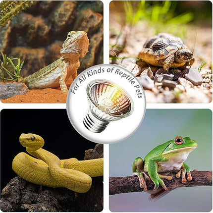 6-Pack 25W UVA Bulbs, Light Turtle Heat Lamp for Reptiles and Amphibian Tanks, Terrariums and Cages, Fit E26 Heat Reptile Lamp,Works with Various Lamp Fixtures