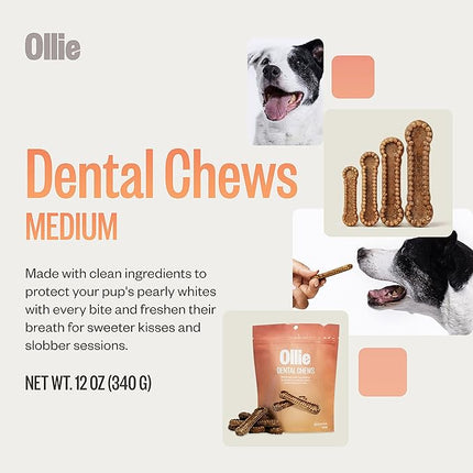 Ollie Dental Chews for Medium Dogs, 12 Oz, Fresh Breath, Teeth Cleaning Treats, Sticks for Dog Oral Care, with Parsley and Cinnimon, for Pups 26-50 lbs
