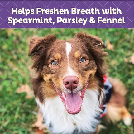 Old Mother Hubbard Wellness Minty Fresh Breath Dog Biscuits, Natural, Training Treats, Spearmint, Parsley, Oats, & Chicken Flavor, Mini Size, (20 Ounce Bag)