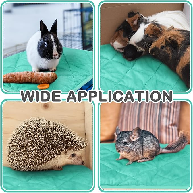 4 Pack Self Heating Cat Pad Self Warming Dog Mat Reflects Body Heat Extra Warm Thermal Pet Pad Washable Dog Cat Bed Crate Bed Mat Blanket (16 x 20 Inch,Mint Blue)