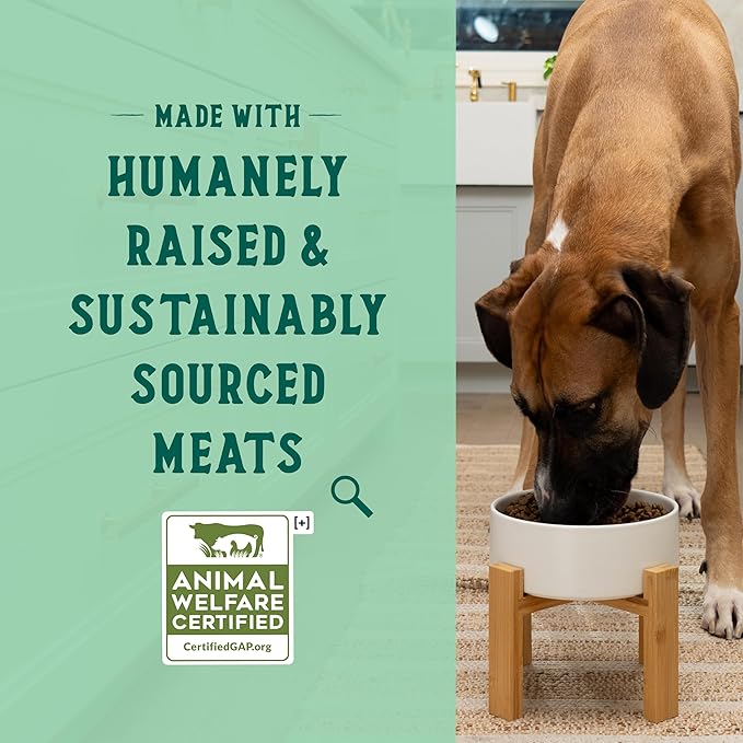 Open Farm Goodbowl, Oven-Baked Small Batch Dry Dog Food - Harvest Chicken & Brown Rice Recipe, Includes Non-GMO Produce & Grains, 22lb Bag (352oz Bag)