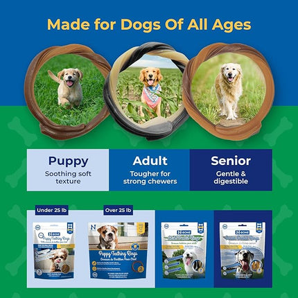 N-Bone Puppy Teething Rings Taste of Texas Burnt Ends Flavor 3 Count