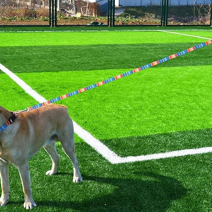 Dog Collar and Leash Set with Bohemia Floral Tribal Geometric Patterns - Soft Ethnic Style Collar Adjustable for Small Medium Large Dogs(Bohemian Orange Set,XS)