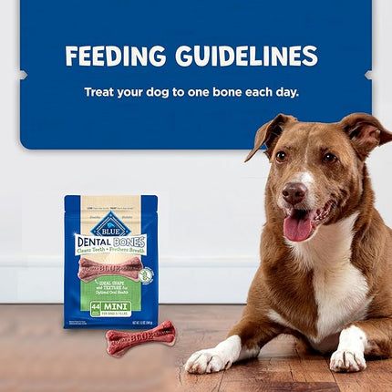 Blue Buffalo Dental Bones Mini Natural Dental Chew Dog Treats Bag, 12oz. Bag