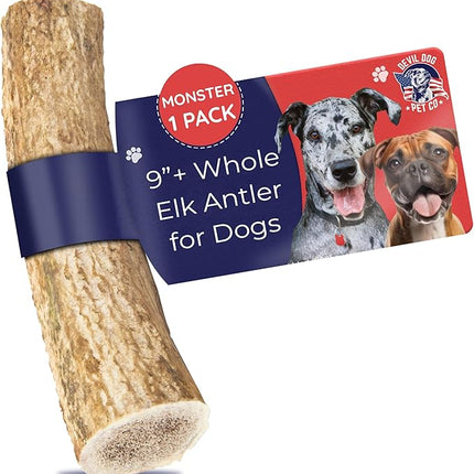 Devil Dog Pet Co. Elk Antlers for Dogs, Monster 9"+, 1 Pack, Grade A Long Lasting Chew for Aggressive Chewers, Premium USA Naturally Shed Antler – Healthy, No Odor, Durable Dog Chew
