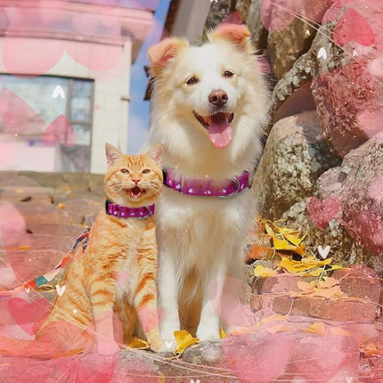 Hikiko Valentine's Day Dog Collar for Small Medium Large Dogs Adjustable Heart Martingale Collars with Quick Release Buckle (Pink Love,S)