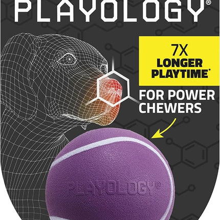 Playology Dog Toys | Squeaky Chew Ball - Bouncy Durable Floating Fetch Ball for Dogs | Medium Bacon Scented Toy - Easy to Clean and Made from Non Toxic Materials