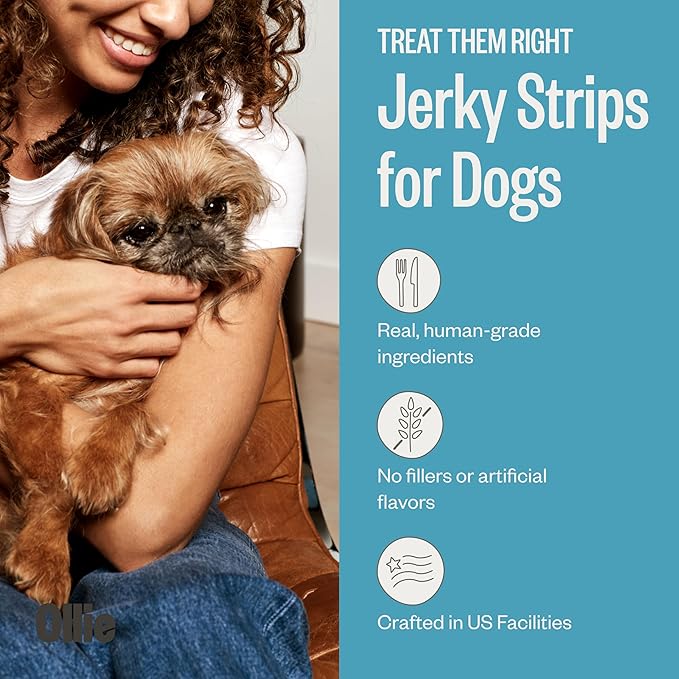 Ollie Salmon and Coconut Jerky Dog Treats, All Natural, Healthy Snacks, Made with Real Meat 5 Oz. Human Grade, Pack of 1, for Dogs