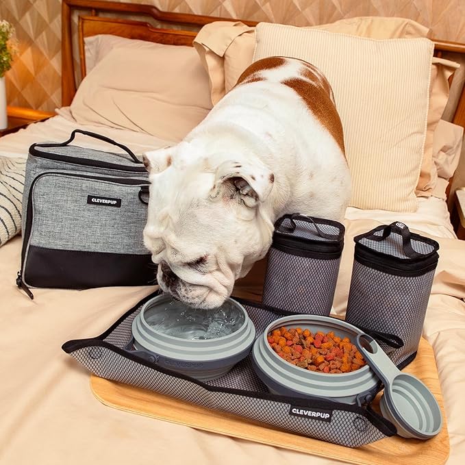 Large 7-Piece Bistro Box Dog Food Travel Kit, 12-Cup Kibble Storage, 2 Silicone Bowls, Mat & Scoop - Premium Portable Pet Food Kit for Weekends, Overnights, Daycare & Camping, Heather Grey