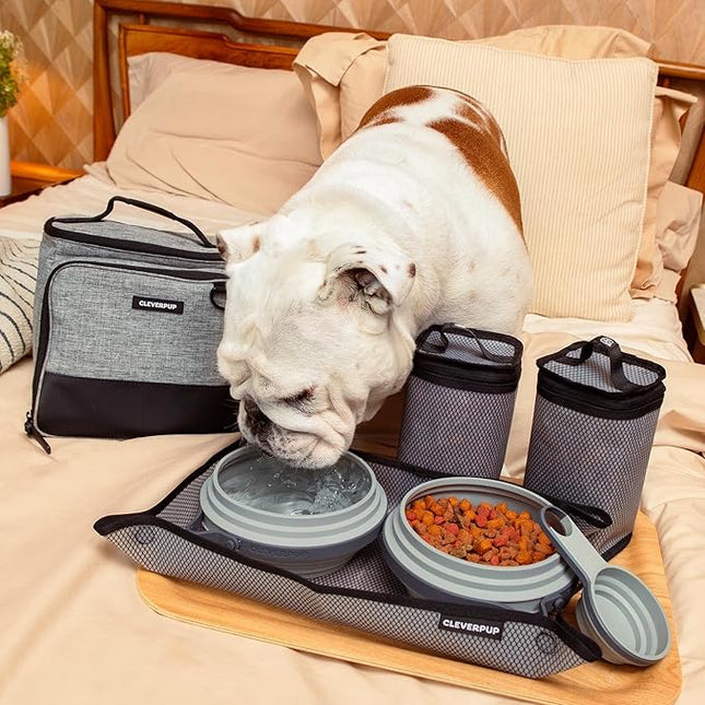 Large 7-Piece Bistro Box Dog Food Travel Kit, 12-Cup Kibble Storage, 2 Silicone Bowls, Mat & Scoop - Premium Portable Pet Food Kit for Weekends, Overnights, Daycare & Camping, Heather Grey