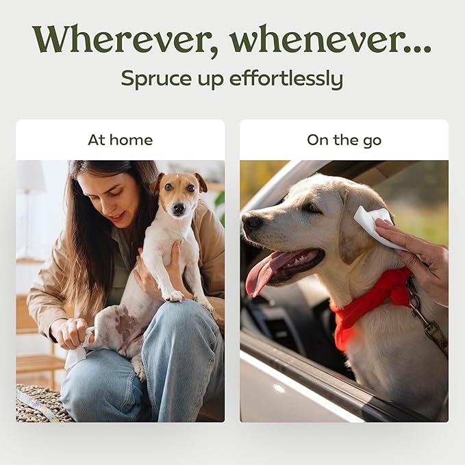 Paw Fume Dog Wipes 2 x 100 Count, Pet Wipes – Hypoallergenic & Gentle Dog Wipes for Eyes, Face, Butt, and Paws – Cleaning & Deodorizing, Grooming Tear Stain Wipes for Puppy, Adult Dogs & Cats