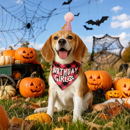 LESYPET Dog Birthday Party Supplies, Dog Birthday Hat with Bandana, and Banner, Cat Decorations Set for Party, Pink