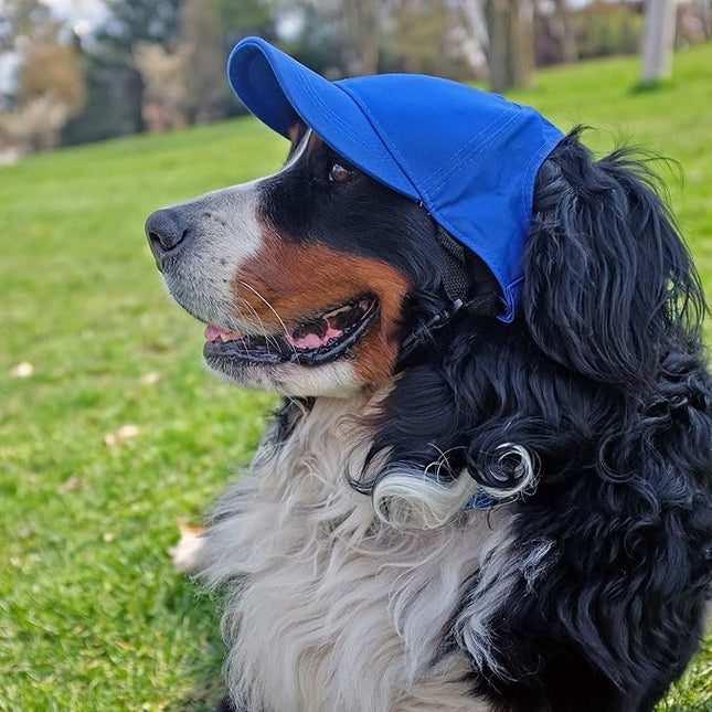 Littlearth NFL Pet Baseball Hat - Officially Licensed Teams, Sizes: XS - XL