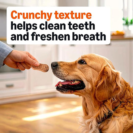 Amazon Basics Crunchy Dog Biscuits Peanut Butter Flavor Dog Treats 5 lb. Box