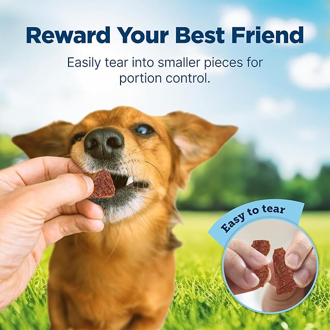 Blue Buffalo Nudges Homestyle Natural Dog Treats Chicken and Bacon, 16-oz Bag