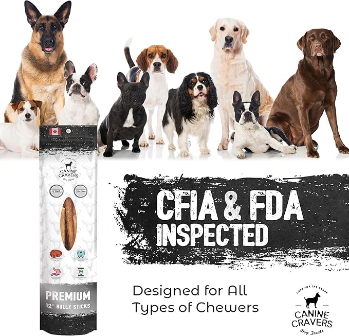 Canine Cravers Maplewood Smoked Bully Sticks 12” Inch - 100% Natural Free Range Grass Fed Beef - Made in Canada Odor-Reduced Long Lasting, Rawhide Free Dog Chews High Protein Low Fat Dental Care