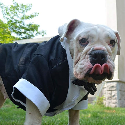 Lovelonglong Bulldog Costume Dog Suit Formal Tuxedo with Black Bow Tie Wedding Clothes for Pugs/French Bulldog/English Bulldog/American Pit Bull Black B-L