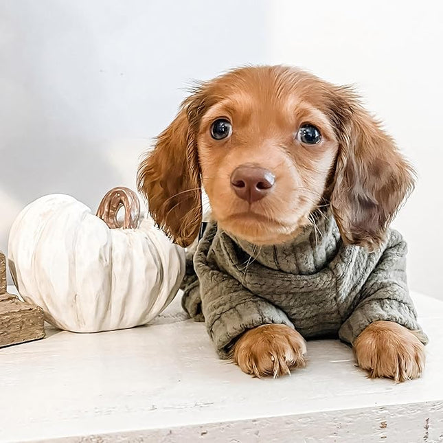 Fitwarm Turtleneck Knitted Dog Sweater Puppy Pajamas Thermal Doggie Winter Clothes Knitwear Pet Coats Cat Apparel Green Medium