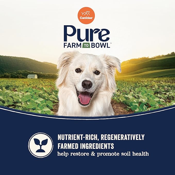 Canidae Pure Limited Ingredient Premium Adult Dry Dog Food, Real Bison, Lentil & Carrot Recipe, 21 lbs, Grain Free