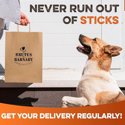 BRUTUS & BARNABY Bully Sticks for Dogs, 6" – Low-to-No Odor, Grass-Fed, Rawhide-Free Chews for Aggressive Power Chewers