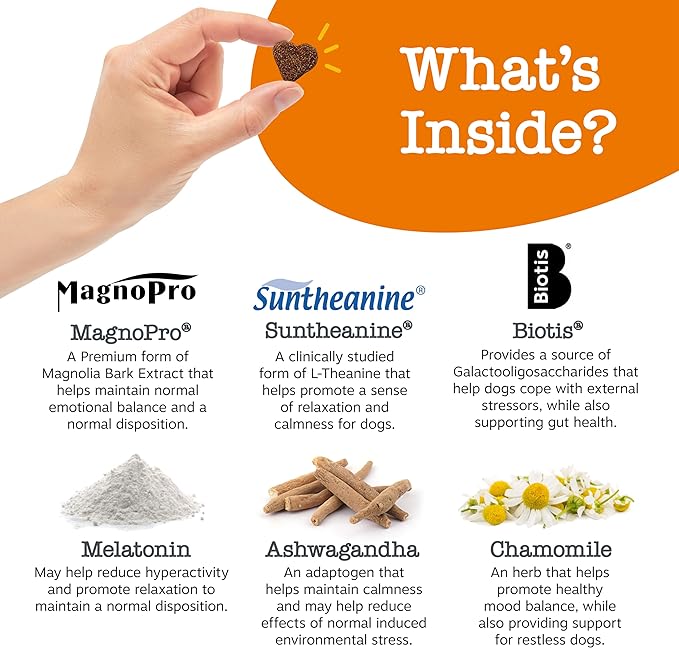 Zesty Paws Vet Strength Calming Chews for Dogs - for Everyday Stress, Relaxation, Composure, and Separation Smoked Turkey 90 Count