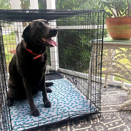 rocket & rex Premium Washable Pee Pads for Dogs, Waterproof & Reusable Puppy Pads for Potty Training, Whelping, Lining Crates & More, Guaranteed for up to 300 Washes, 30" x 36" (Pack of 2)