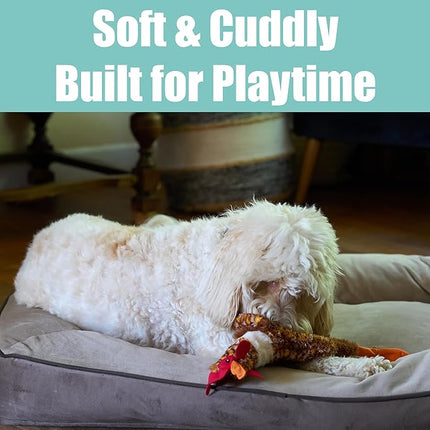 SPOT Skinneeez Chicken 17" Stuffing-Free Plush Dog Toy with Honking Squeaker – Soft, Floppy & Mess-Free Interactive Toy for Medium & Large Dogs – Ideal for Light & Moderate Chewers