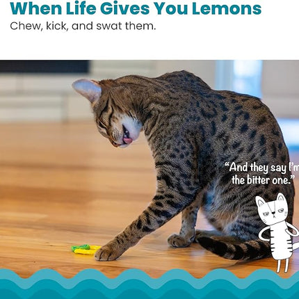 Catstages Dental Lemon Teether, Soft and Textured Cat Chew Toy, Catnip Oil Coating, Yellow