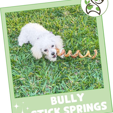 Nature Gnaws Bully Stick Springs for Dogs 7-8" (12 Count) - Long Lasting for Aggressive Chewers - Natural Curly Beef Dog Chew Bones - Rawhide Free