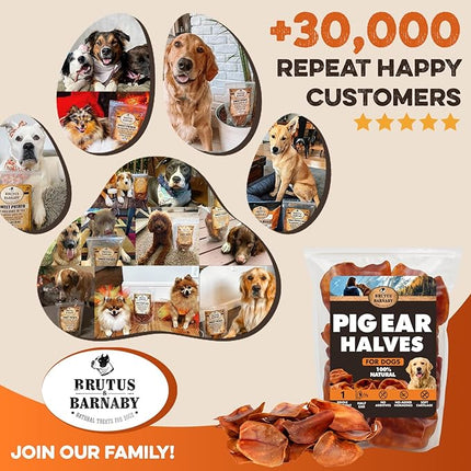 BRUTUS & BARNABY Pig Ear Halves for Dogs, 40 Ct. – All-Natural Single Ingredient Dog Chews, Slow Cooked & Fully Digestible Rawhide Alternative