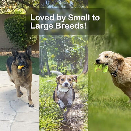 Jalousie 4 Inch Latex Dog Squeaky Toys, Soft Rubber Chew Toy, Animal Ball for Puppy Small Medium Pets (5 Pack)