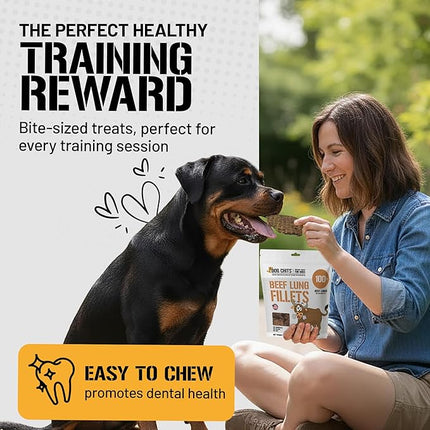 Dog Chits Beef Lung Fillets Dog and Puppy Treats – All Natural Chews for Dogs – Grain-Free, High-Protein, Low Fat Single Ingredient Dog Treat – Ideal for All Dogs – Large, 10 oz – Made in USA