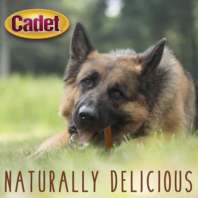 Cadet Bully Sticks for Large Dogs, All-Natural Beef Pizzle, Rawhide-Free Long-Lasting Dog Chews for Aggressive Chewers, 1 Count