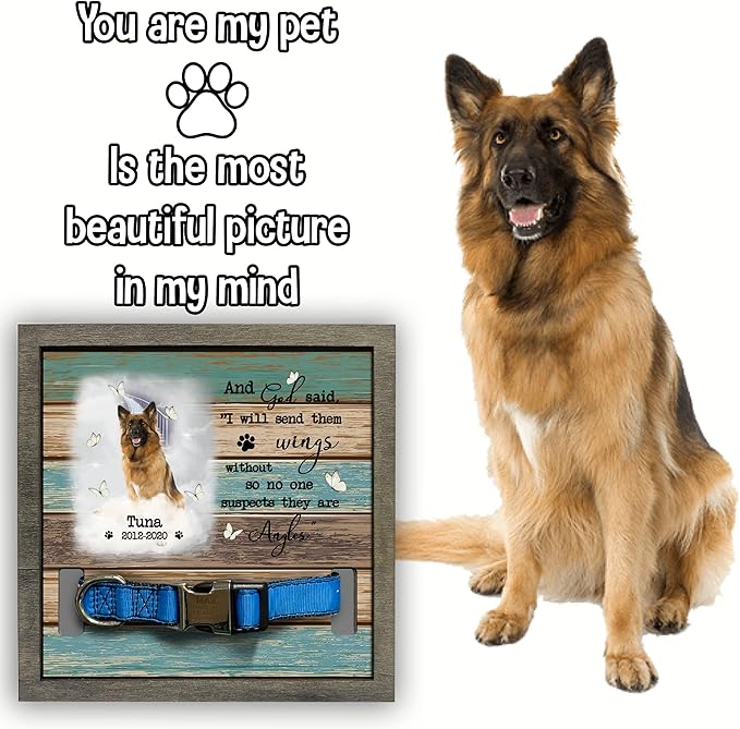 Personalized Memory Dog Picture Frame Pet Memorial Frames for Dogs Wood Pet Collar Memorial Puppy Pet Loss Gifts Dog Remembrance Bereavement Gifts Natural Wood Frame for Loss of Dog Keepsake