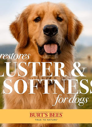 Burt's Bees for Pets Double Sided Pin & Hemp Bristle Dog Brush | Best All-Purpose Dog Brush To Reduce Shedding Great for All Small Dogs And Puppies (Pack of 24)