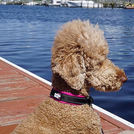 Black Rhino Dog Collars for Medium Dogs - Adjustable Reflective Heavy Duty Dog Collar with Ultra-Soft Neoprene Padding - Weatherproof, Durable, and Comfortable - Ideal for Active Dogs - Pink and Black