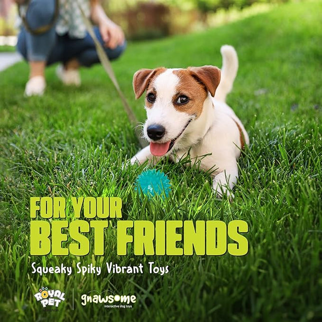 Gnawsome Squeak and Light Football,Multicolor,2.5",10010, 1 Count