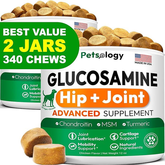 (2 Pack) Glucosamine for Dogs - 340 Mobility Chews - Advanced Hip and Joint Supplement for Dogs - Glucosamine Chondroitin - MSM - Joint Pain Relief - Made in USA