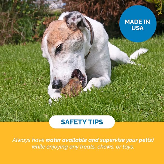 123 Treats Meaty Dog Bones, 100% Natural Knee Cap Beef Bone Dog Treats, No Additives, Made from Premium USA Grass Fed Beef, Tasty Long Lasting Chews for Dogs, Improve Oral Health, Pack of 3