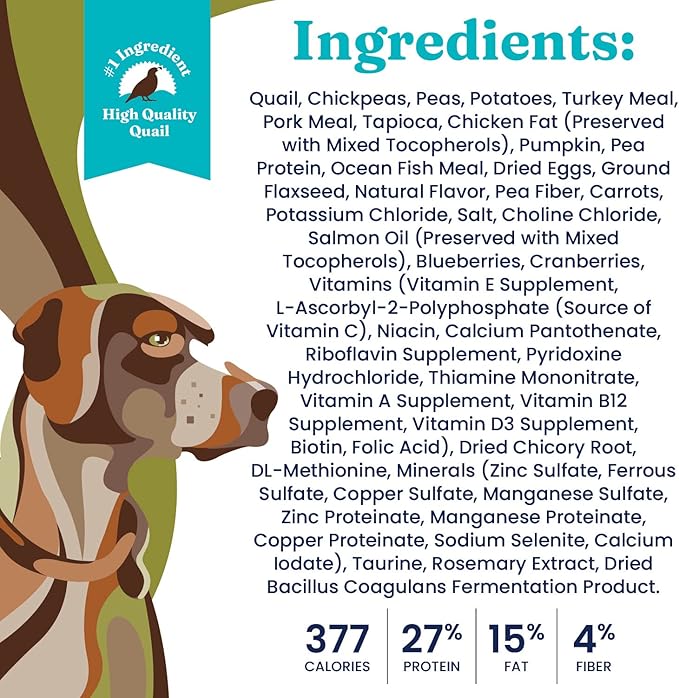 Solid Gold Sensitive Stomach Dog Food for Adult & Senior Dogs - Grain Free Healthy Dog Food w/Real Quail, Pumpkin, Fiber & Probiotics for Gut Health & Digestion - Kibble for Sensitive Stomachs - 24LB