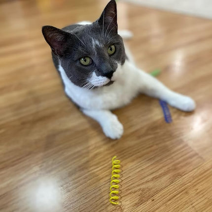 SPOT Colorful Springs Cat Toys – 3" Bouncy Coils for Indoor Cats & Kittens to Swat, Chase & Bite, Safe Lightweight Plastic, Interactive Enrichment Toys, 10-Pack Multi-Color