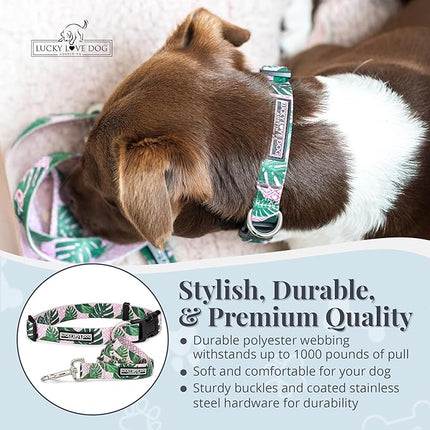 Lucky Love Dog, Tropical Matching Dog Collar & Leash Set, Soft & Comfy, Vivid Pink Color Collar and Leash for Female Male Dogs - (Small, Laguna Combo)