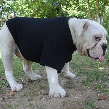 Lovelonglong Bulldog Clothes Dog Clothing Blank T-Shirt Tee Shirts for French Bulldog English Bulldog American Pit Bull Pugs 100% Cotton Skin Care Black B-S