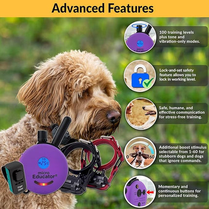 Educator E-Collar Humane Dog Training Collar with Remote, 100 Safe Tapping Stimulation Levels, Night Light, Waterproof, Rechargeable, 1/3 Mile 2 Small Dogs Double Bungee Bundle, Purple