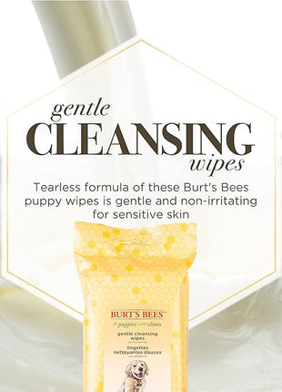 Burt's Bees for Pets Gentle Cleansing Puppy Wipes with Buttermilk, 98% Natural Origin Formulas, Hypoallergenic Dog Wipes Cleaning, Dog Cleaning Wipes, Dog Wipes for Paws and Butt, 50ct