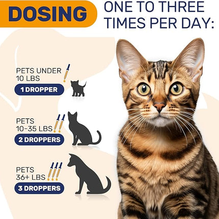 Cat Allergy – Dog Allergy – Pet Immune Support – Cat Itching – Dog Itching Skin – Natural Ingredients – 2 Oz