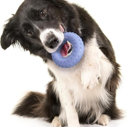 Playology Dog Toys | Dual Layer Ring Durable Chew Toy for Aggressive Chewers | Medium Blueberry Scented Toy - Easy to Clean and Made from Non Toxic Materials